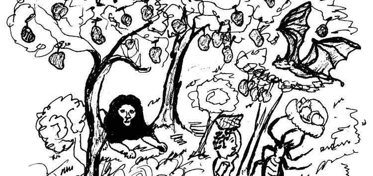 Kali Fu Kunuŋ Couverture Flash